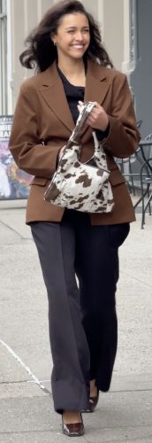 cow-print bag
