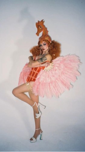 seahorse costume