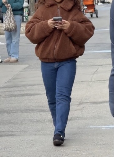toasted brown teddy coat